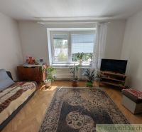 A room in a 2-bedroom apartment with carpets, flowers, and a wooden decor floor.