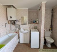 Bathroom with shower, bathtub, and washing machine in a 2-room apartment.