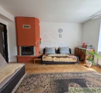 A living room in a two-room apartment with a fireplace and a wooden decor floor.
