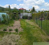 A garden with a lawn and a greenhouse around Medzilaborce surrounded by wooden structures.