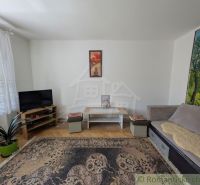 Living room in a two-room apartment with carpets and wood-patterned flooring.