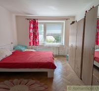 Bedroom in a 2-room apartment with a bed, wardrobe, and floor with wood decor.