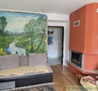 Living room in a 2-room apartment with a landscape painting, a fireplace, and a sofa.