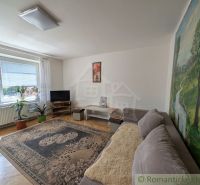 Living room in a two-room apartment with a carpet, comfortable sofa, and large window.