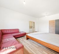A room in a family house with a wooden decor floor and a red sofa.