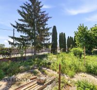A garden of a family house in Topoľníky with trees and a garden fence.