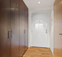 Entrance hallway with wood-patterned flooring and tall wooden storage cabinets.