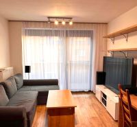 Living room with a sofa, TV, shelves, and wood-patterned flooring in a two-room apartment.