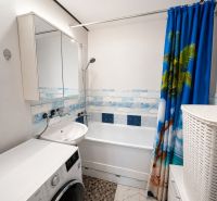 A bathroom in a 3-room apartment with a shower curtain featuring a palm motif.