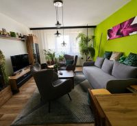 Living room in a 3-room apartment with colors, plants, and a wooden decor floor.