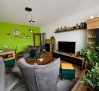 A living room in a 3-room apartment with wooden decor and a green wall.