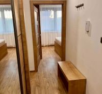 A hallway in a 2-room apartment with a wooden decor floor and a mirror on the wall.