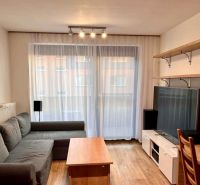 Living room in a two-room apartment with a sofa, TV, and shelves; floor with wood decor.
