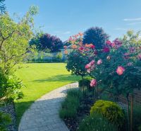 The garden of the family house on Jasná Street in Veľké Dvorníky with a flower path.