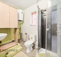 Bathroom with a sink, shower, cabinet, and toilet in a family house.