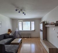 Living room in a three-room apartment with a comfortable sofa, wooden decor flooring, and toys.