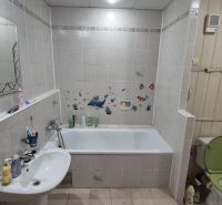 A bathroom in a 3-room apartment with a bathtub, a sink, a mirror, and a green toilet seat.