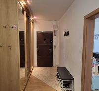 A hallway with a coat rack and a mirror in a 3-room apartment. Floor with a wooden decor.