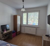 A room in a 3-room apartment with a wood-patterned floor, a television, and a window.