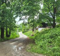 A forest road surrounded by greenery in Terchová, Residential plots.