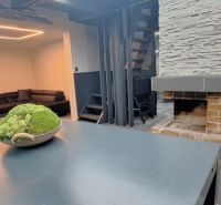 Interior of a cabin with a fireplace, table, and lichen decoration.