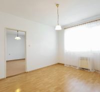 A bright living room in a two-room apartment with wood-patterned flooring and a TV in the corner.