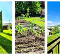 A garden with conifers, vegetable planting, and a view from the balcony in the town of Veľký Šariš.