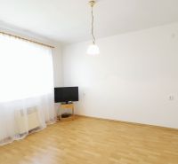 Living room with light-colored walls and a floor with a wooden decor, basic furnishings, 2-room apartment.