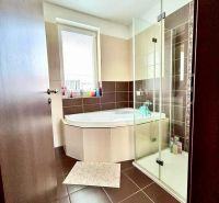 A family house bathroom with a bathtub, shower, and brown-tinted tiles.
