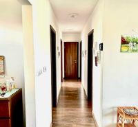 A hallway with a wooden decor floor leads to wooden doors in a family house.