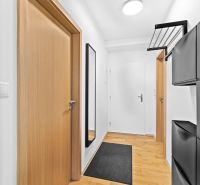 A hallway with a wooden decor floor, a mirror, and storage spaces in a 2-room apartment.