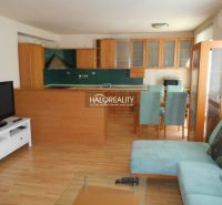 Living room with kitchen in a 3-room apartment with a wooden decor floor.