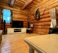 The interior of a family house with a fireplace, television, and wooden walls.