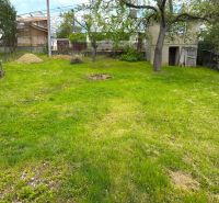 Plots - housing in Lipany with a green grassy area and an older tree.