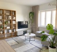 Living room in a family house with a comfortable sofa, television, and bookshelf.