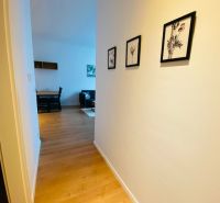 A hallway with a wooden decor floor, pictures on the wall, entrance to the living room in a two-room apartment.