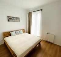 A room in a 2-room apartment with a double bed and a wooden decor floor.