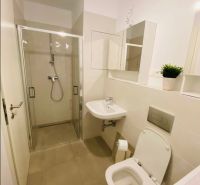 Bathroom with toilet, shower, and sink in a 2-room apartment.