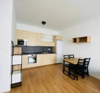 The kitchen of a two-room apartment with a wooden decor on the floor and a dining table.