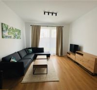 Living room in a two-room apartment with a wooden decor floor and a comfortable sofa.