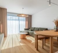Living room in a 3-room apartment with a comfortable couch and wooden decor flooring.