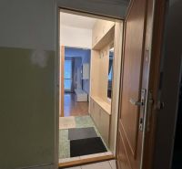 Open entrance hall with wooden decor and storage spaces in the Holiday Apartment.