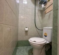 Toilet in a holiday apartment with tiles up to half the wall, green tiles.