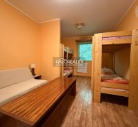 A room in a cabin with bunk beds and a wooden decor floor.