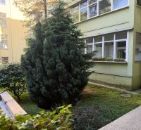 Greenery and a building on Janáčkova in Bratislava - Old Town near a three-room apartment.