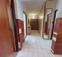 A hallway with tiles and wooden paneling in a 3-room apartment, mirror and doors.