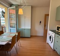 Dining area and kitchen with wood-patterned flooring in a studio apartment.