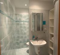 A bathroom in a studio apartment with a sink, shower, and built-in shelves.