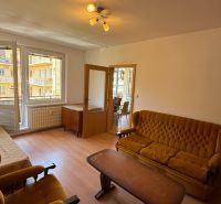 Living room in a studio apartment with a couch and wood-patterned flooring.