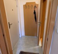 Entrance hall with a coat rack and tiles in a studio apartment, floor with wood decor.